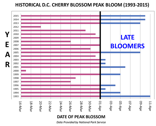 CherryBlossomPeakBlossomChart2015